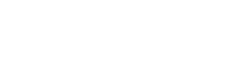 Dr. Genaro Villela Segura